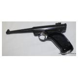Ruger .22 