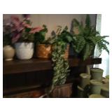 Plants & containers