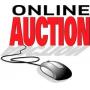 TRUSTEE ESTATE AUCTION