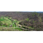252 +/- Acre Daugherty Family Farm Lost Creek, WV 