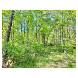 23 +/- Acre Wetzel County WV Land 