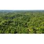 521 +/- Acres Gilmer County Land 