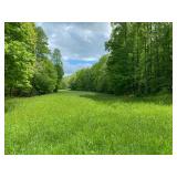  Marion County 83 +/- Acre Land 