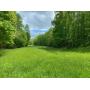  Marion County 83 +/- Acre Land 