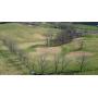 Corbin Branch 12 +/- Acre Hobby Farm 
