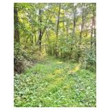 20 +/- Acre Barbour County Land 