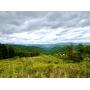 Tucker County 51+/- Acre Mountain Property