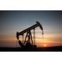180 +/- Acres Barbour County, WV Oil & Gas Minerals 