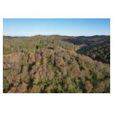 Absolute 204 +/- Acre Lewis County Farm & Prime Hunting Land 