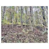 8.79+/- Acre Upshur County Land 
