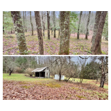28 +/- Acre Upshur County Camp with Older Home