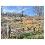 5.17 +/- Acre Taylor County Land 