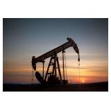Taylor Co, WV, Oil, Gas & Coal Rights, 233.77 +/- Net Acres 