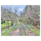 35 +/- Acre Calhoun County WV Recreational Land 