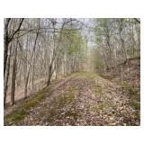 20 +/- Acre Clay County WV Land