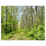 Taylor County, WV 93+/- Acres and 2 Lots 