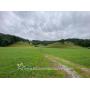 82 +/- Acre Lewis County Farm 