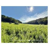 87+/- Acre Nicholas County WV Land 
