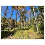 Taylor County, WV 47+/- Acre Recreational Property 