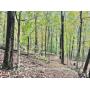 51+/- Acre Calhoun County WV Land with Timber 