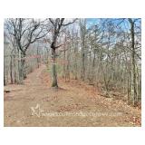 86+/- Acres Greenbrier County WV Camp / Getaway Property 