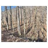 29+/- Acre Wayne County WV Land 