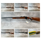 One Owner Firearm Collection Auction