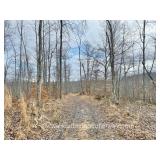 31+/- Clay County WV Land 