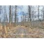31+/- Clay County WV Land 