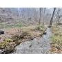 34+/- Acre Kanawha County WV Land 