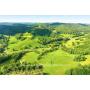 Lewis County, WV 152 Acre Century Farm Offered in 3 Parcels - Terry and Helen Hardman Farm 
