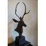 A wonderful variety sale in Fremont by YTT Estate Sales