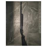 Remington 1100 mag