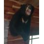 1999 xpress Boat-Taxidermy-Guns-Vehicle-Trailer-Zero turn- 4 wheeler-etc
