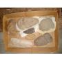 Indian Artifacts-Gold-Silver-Guns-Gunsmith Items-Antiques
