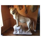 Taxidermy, Guns, Sculptures