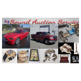 SAS Dodge Charger, Ford F150, Porcelain Online Auction