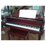 Fancies in flower Mound