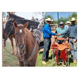 21st Annual Farm Equipment & Horse Auction