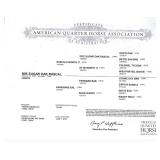 Miss Sugar Oak Rascal papers