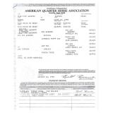 Miss Tiff Quixote papers