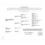 Rascals Worth It papers