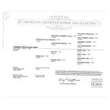 Ginnin Freckles Bar papers