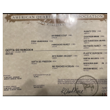 HIP# 23 - GOTTA GO HANCOCK