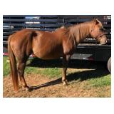 HIp# 25 - SALLIS OMA pic