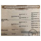 Hip# 25 - SALLIS OMA papers