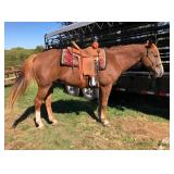 Hip# 30 - LETS GET ROCKED