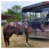 Hip# 32 - SMOKE pic 2