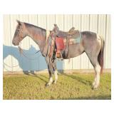 HIP# 34 - DOLLY pic 1