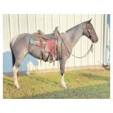 HIP# 34 - DOLLY pic 1